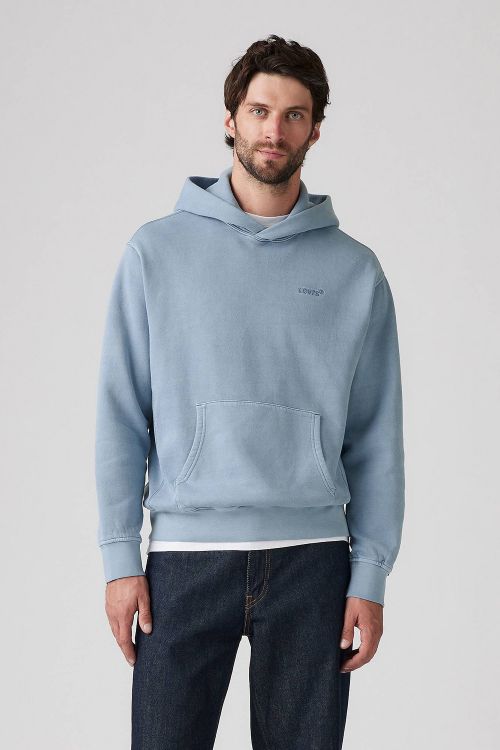 Толстовка Levis A84350029