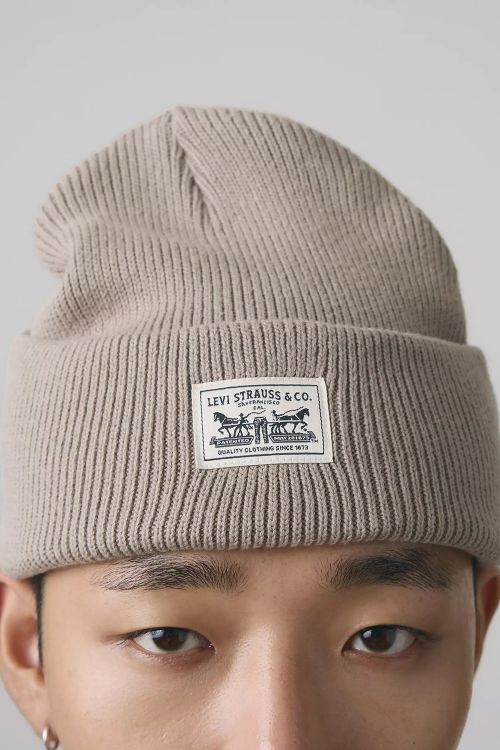 Шапка Levis 000J40013